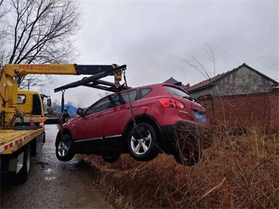 柞水楚雄道路救援